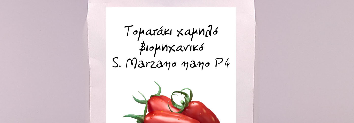 Τομάτα βιομηχανική S. Marzano nano P4 χαμηλή
