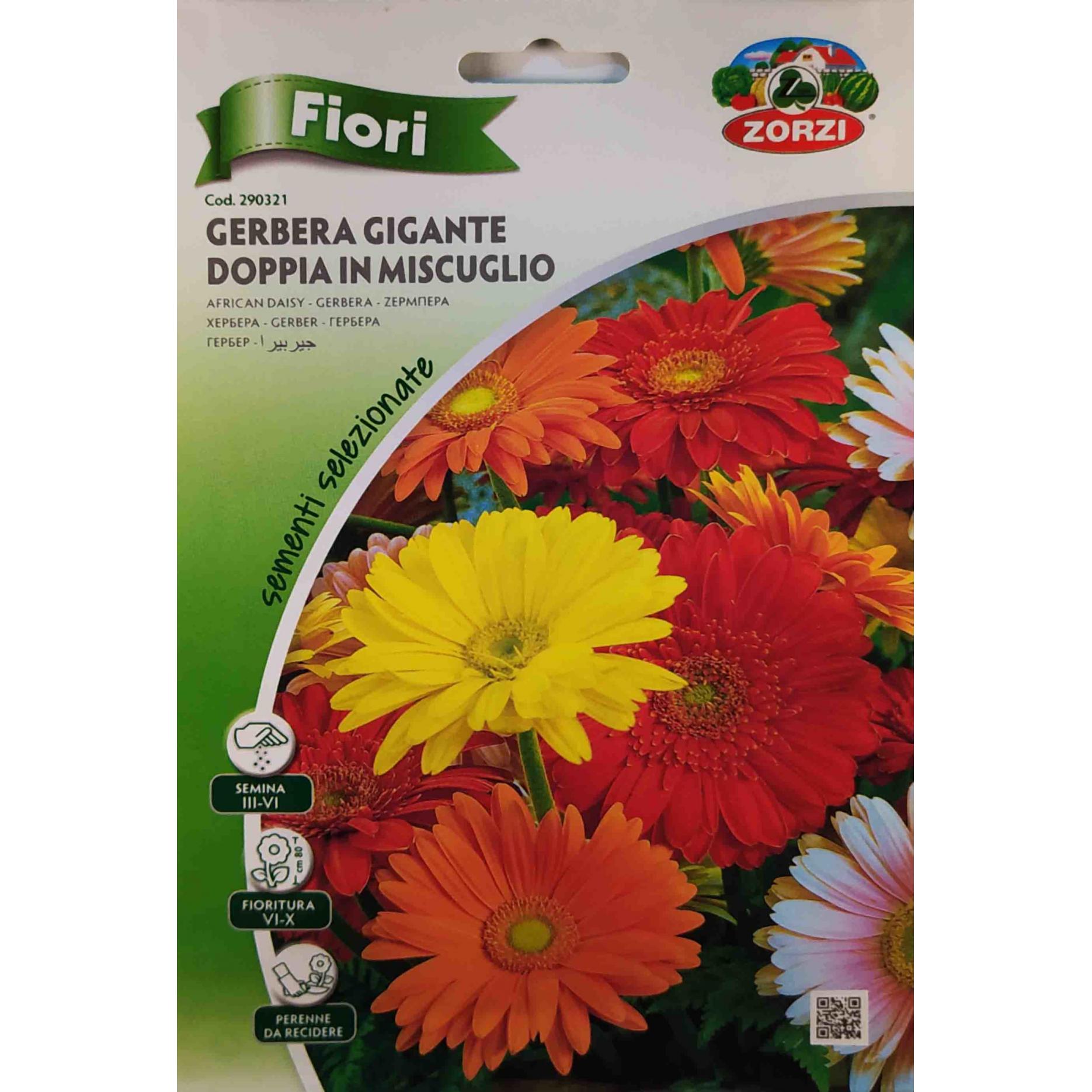 Ζέρμπερα mix (hobby bag 0.05 γρ)