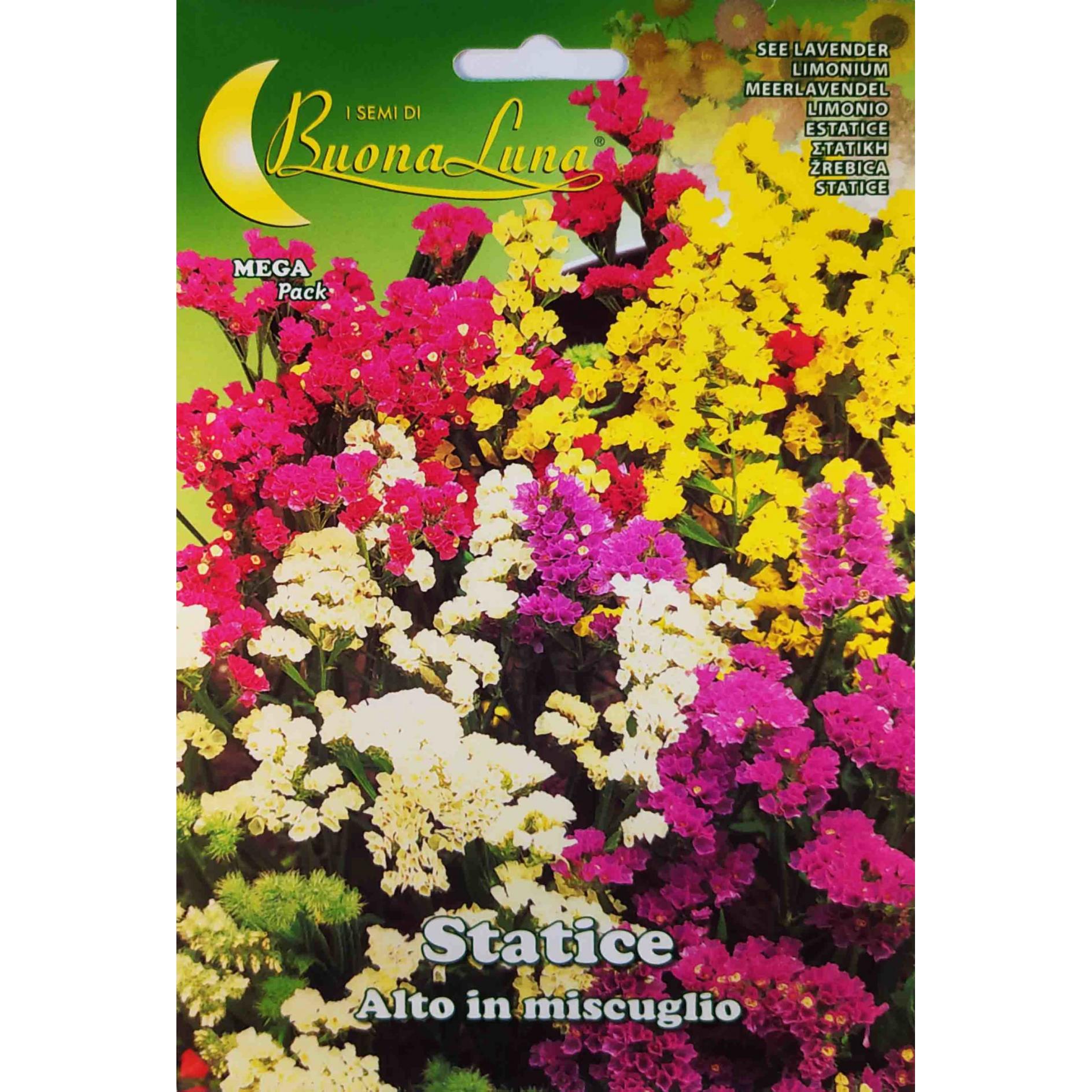 Στατική mix (hobby bag 0,30 γρ)