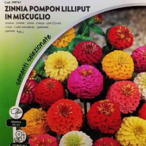 Ζίννια νάνα mix (hobby bag 0.90 γρ)