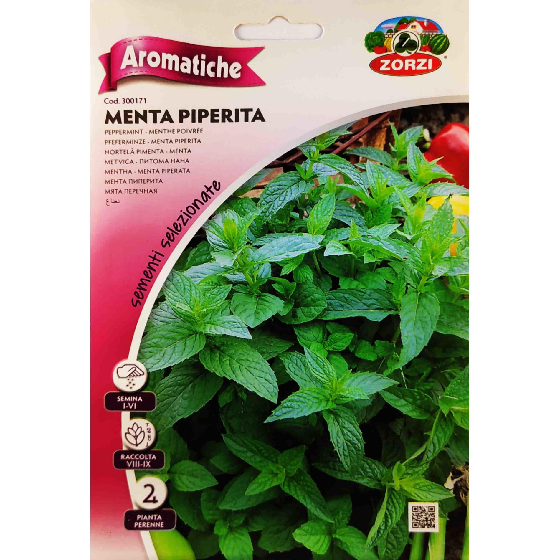 Μέντα (hobby bag 0,10 γρ)