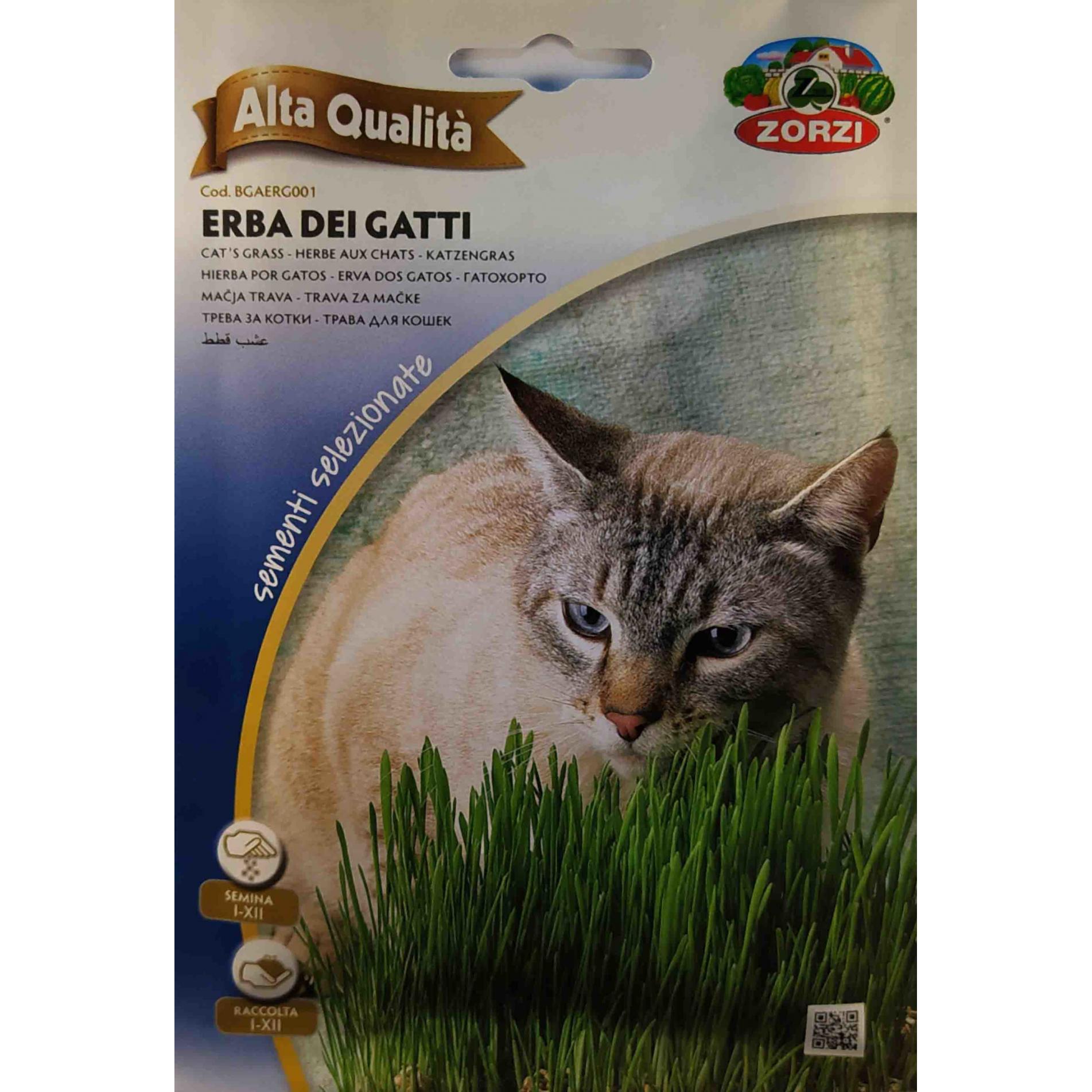 Γατόχορτο (hobby bag 25 gr)