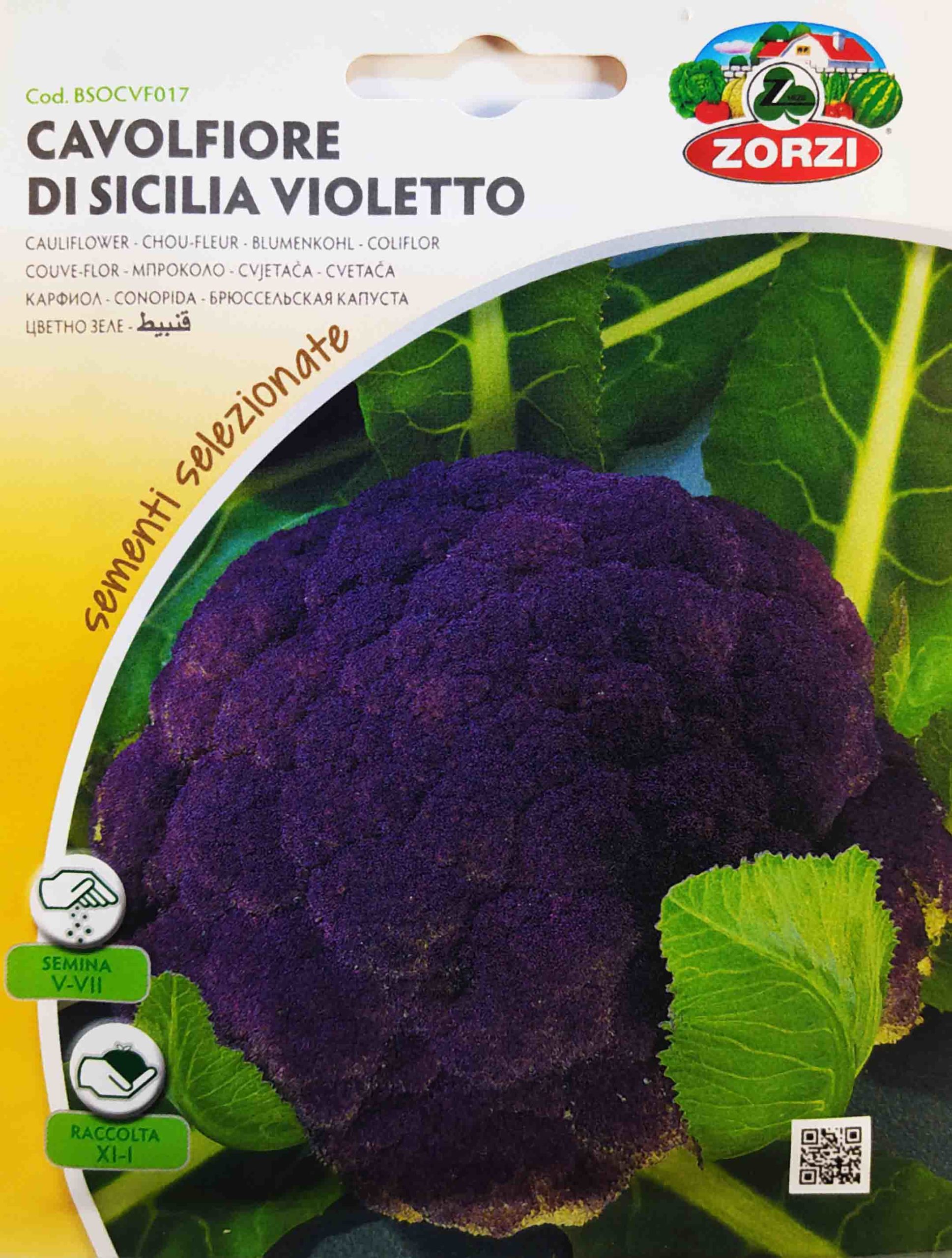 Hobby_veg_Cauliflower_purple_di_sicilia_low Κουνουπίδι μωβ (hobby bag 2 γρ)