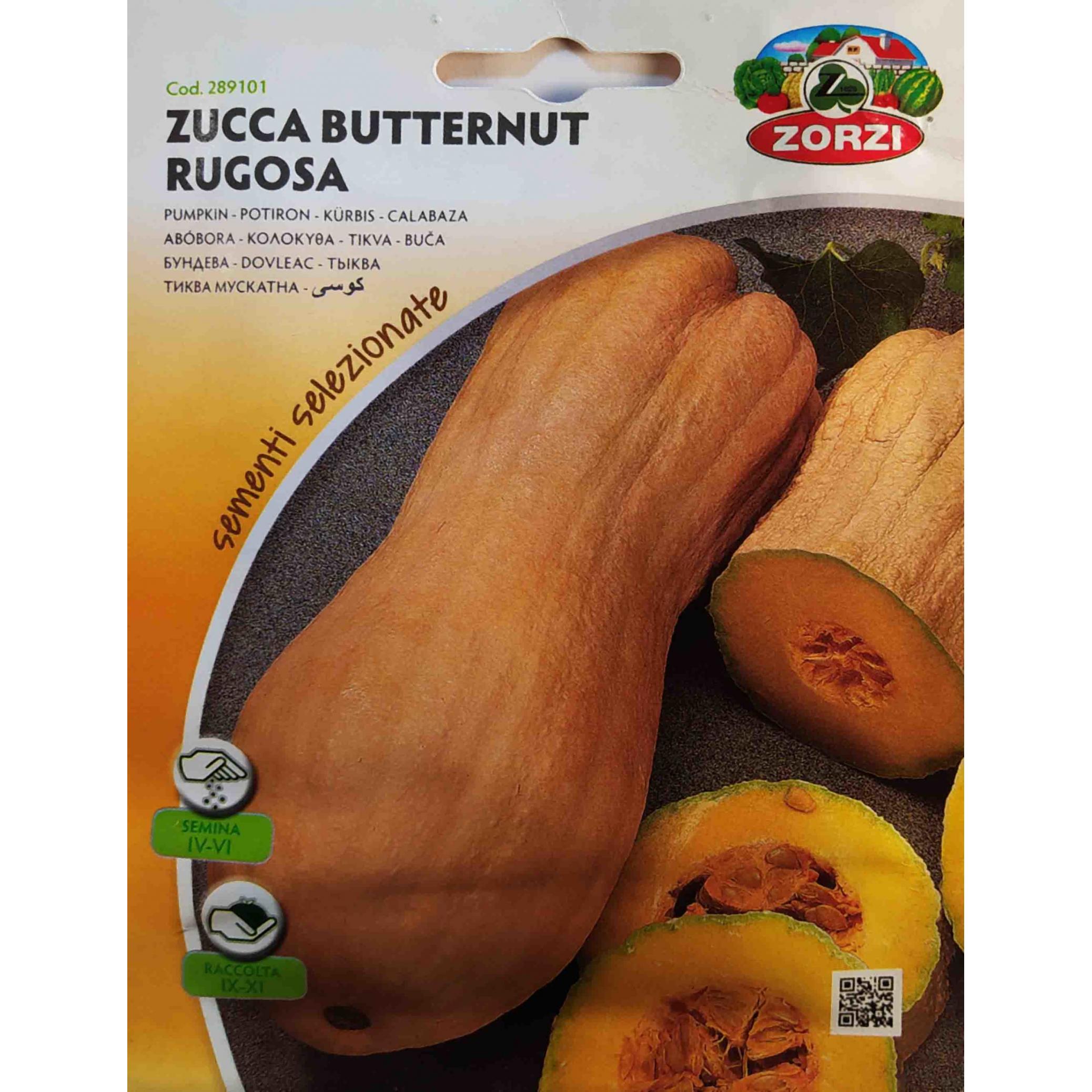 Κολοκύθα butternut παραδοσιακή