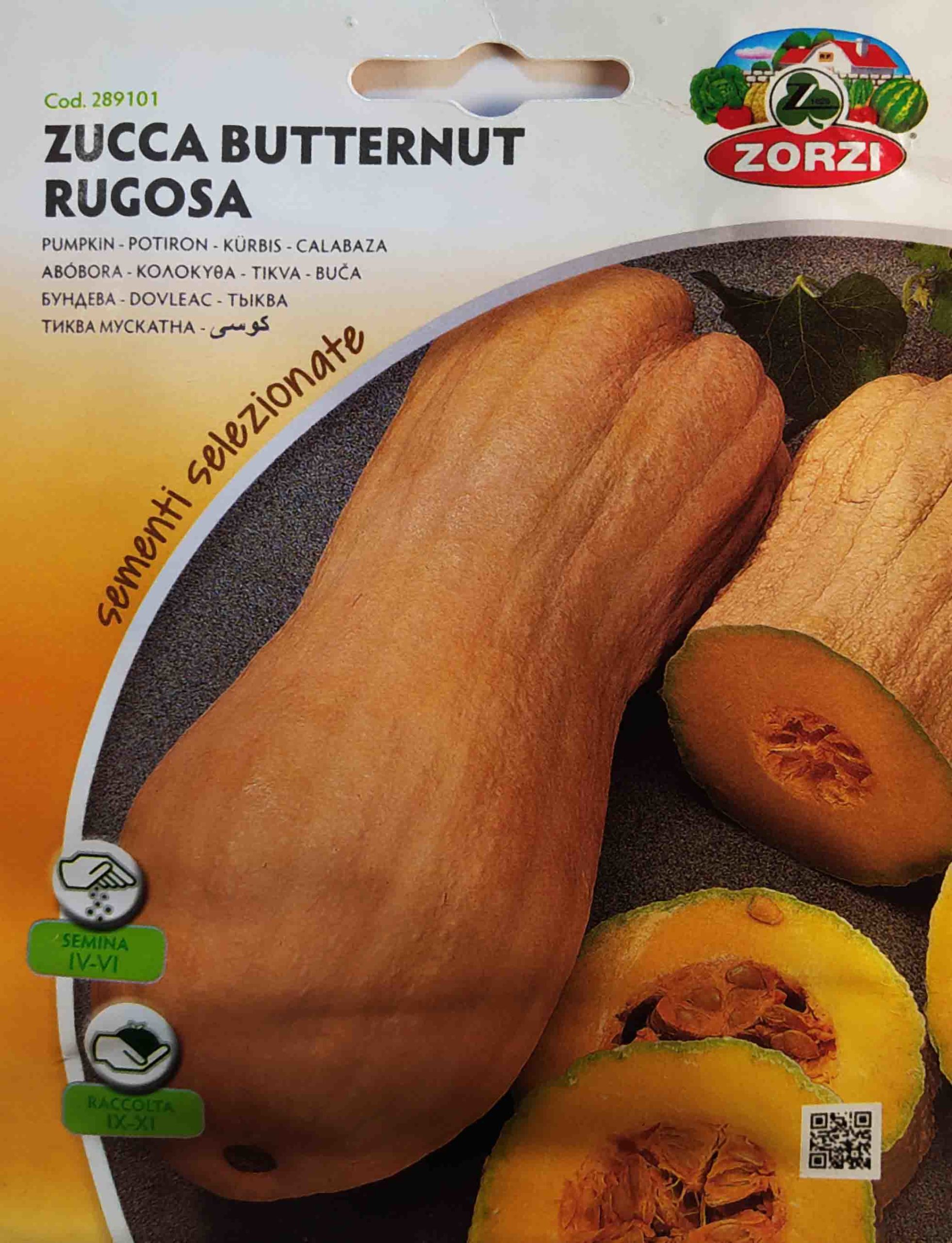 Hobby_veg_Pumpkin_butternut_low Κολοκύθα butternut παραδοσιακή
