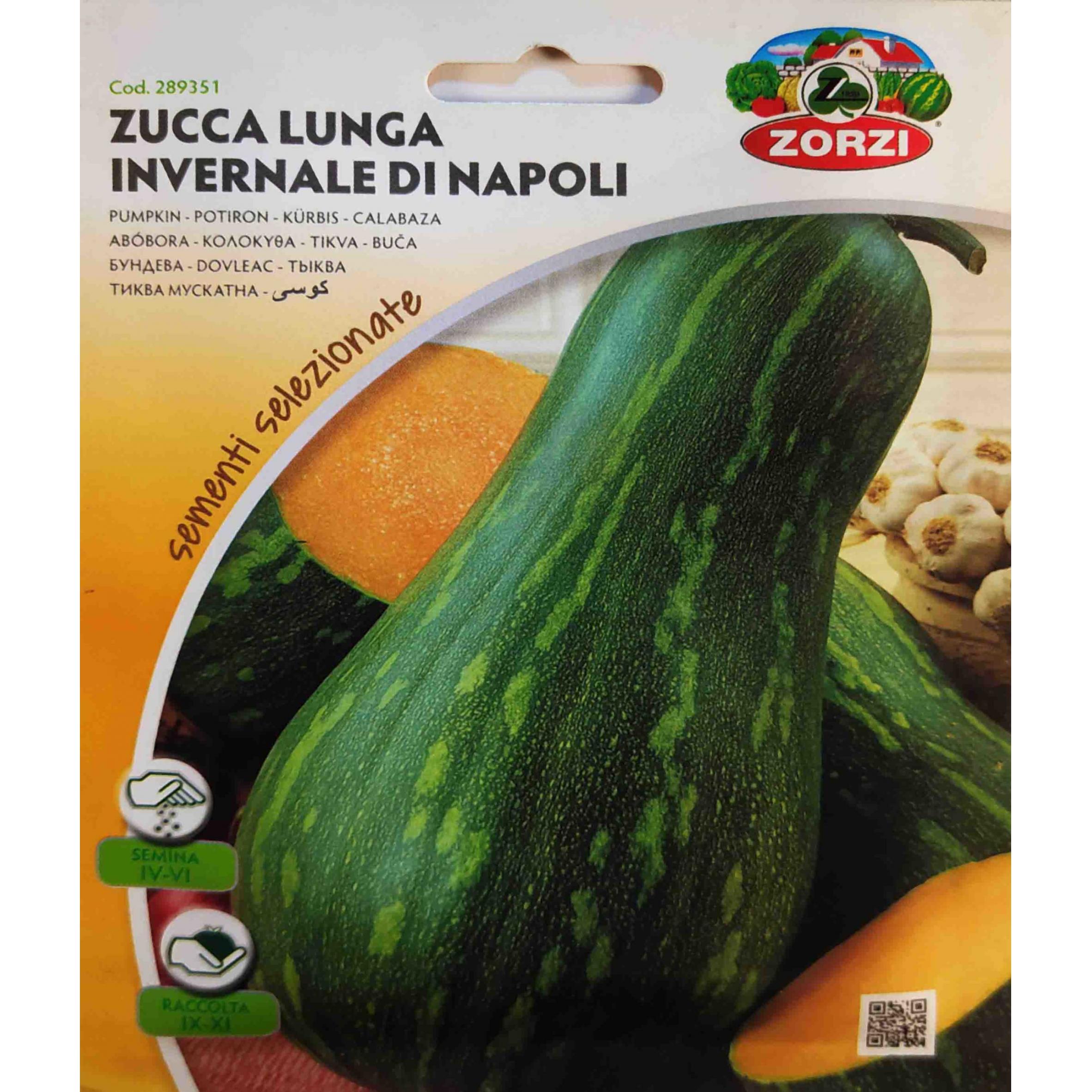 Κολοκύθα μακριά Napolitana παραδοσιακή