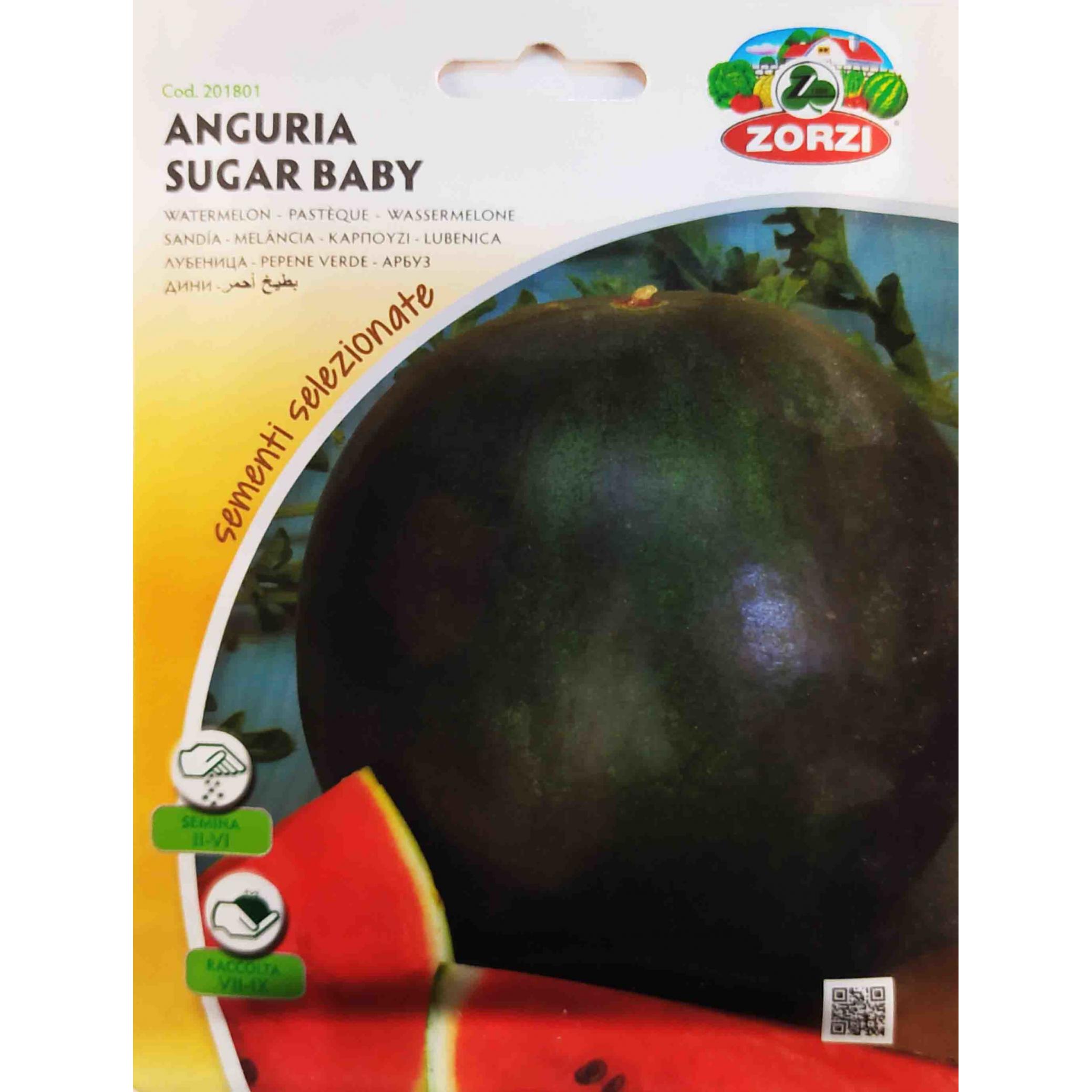 Καρπούζι Sugar baby παραδοσιακό