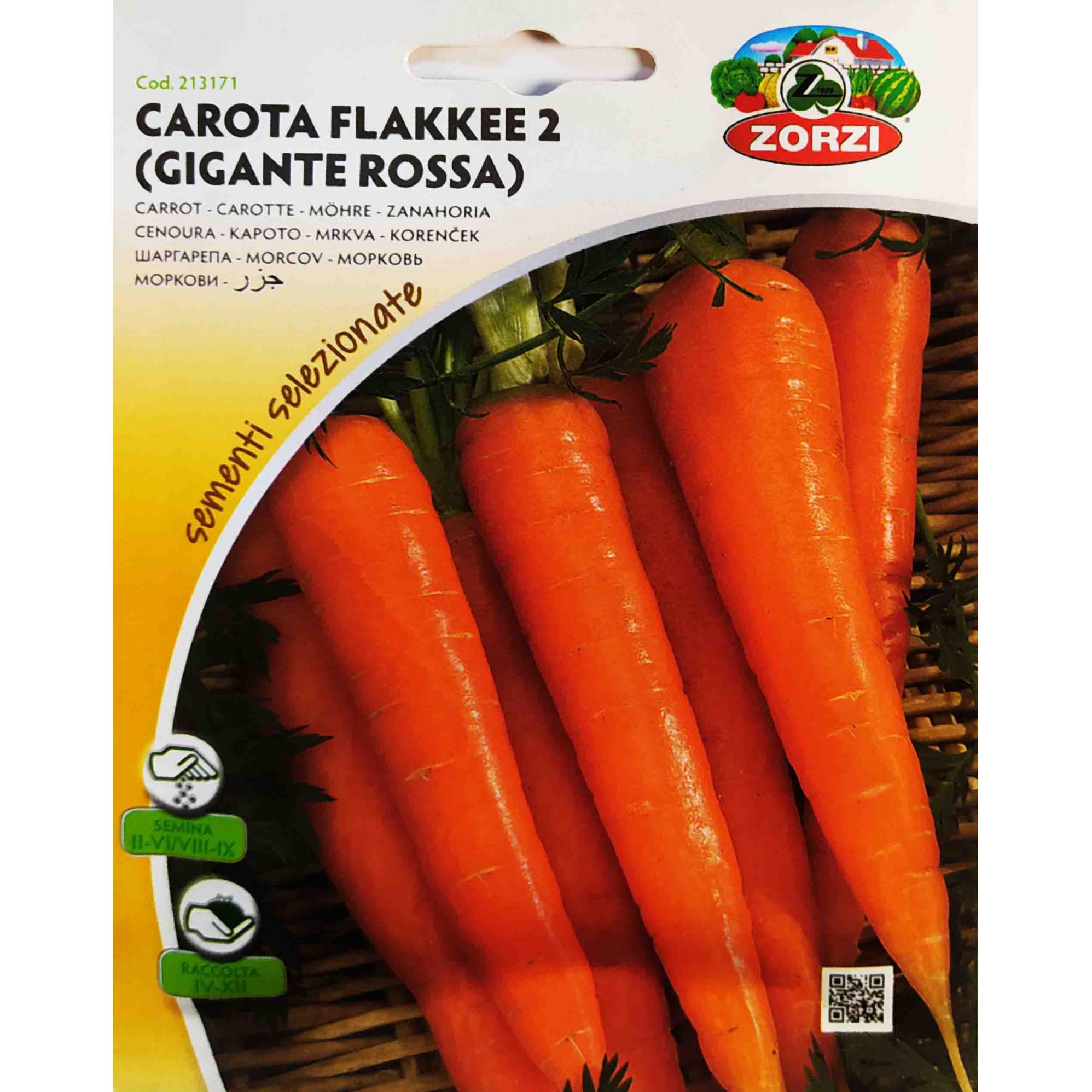 Καρότο Flakkee 2 παραδοσιακό