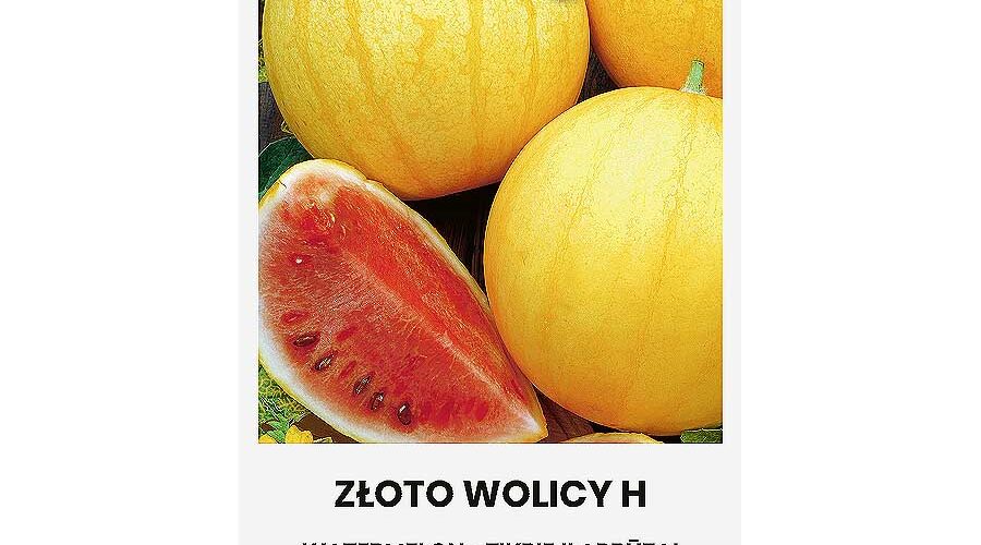 Καρπούζι κίτρινο εξωτερικά Zloto wolicy (hobby bag 0,5 γρ)