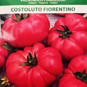 Τομάτα κατσαρή παραδοσιακή Costoluto fiorentino