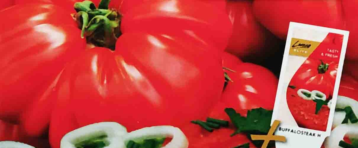 Τομάτα κόκκινη μεγάλη Buffalosteak