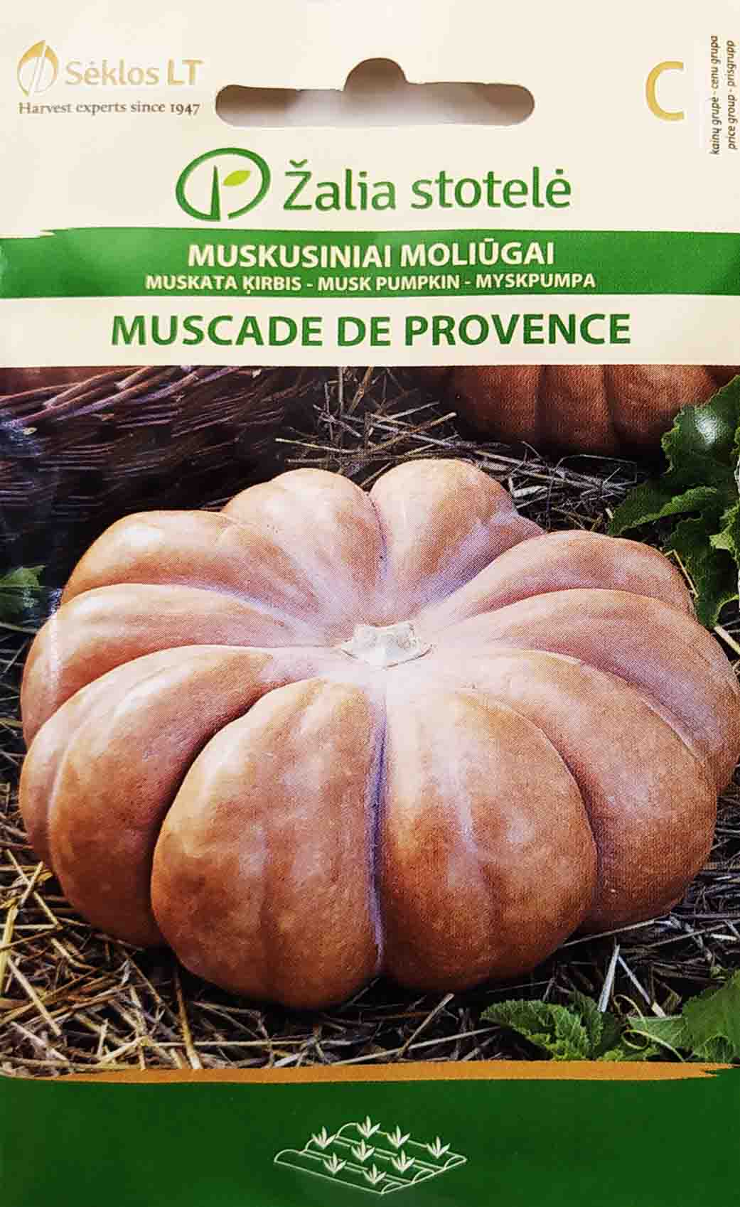 κολοκύθα αναρριχώμενη muscade de provence Κολοκύθα αναρριχώμενη Muscade de provence