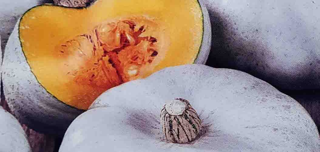 Κολοκύθα αναρριχώμενη μπλε-γκρι Nagydobosi