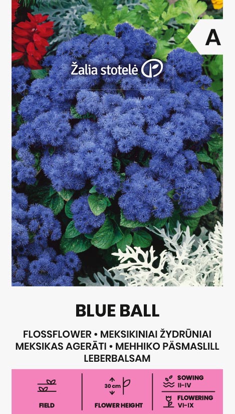 Αγήρατο μπλε Blue ball Αγήρατο μπλε Blue ball