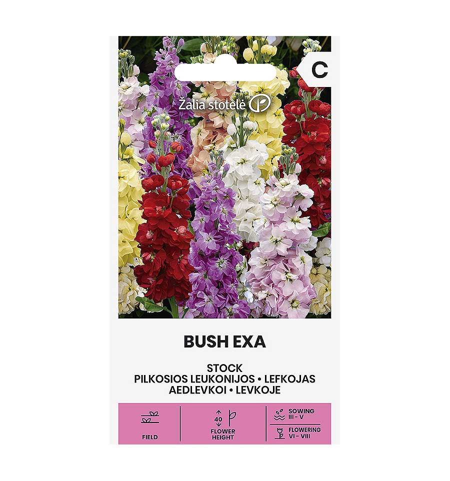 Βιολέτα διπλή mix Bush exa (hobby bag 0,4 γρ) Βιολέτα διπλή mix Bush exa (hobby bag 0,4 γρ)