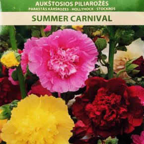 Δενδρομολόχα (αλθαία) Summer carnival