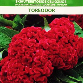 Λειρί του κόκκορα Silver toreodor