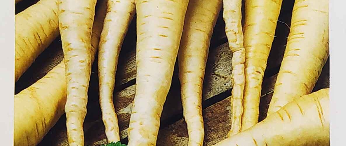 Παστινάκι Guernsey (hobby bag 3 γρ)