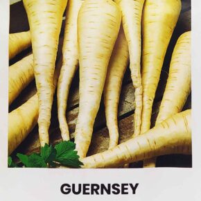 Παστινάκι Guernsey (hobby bag 3 γρ)