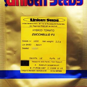 Τομάτα υβρίδιο βελανίδι αναρριχώμενη Zucchello F1