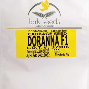 Λάχανο υβρίδιο Doranna F1 (φάκελος 2500 σπόρων)