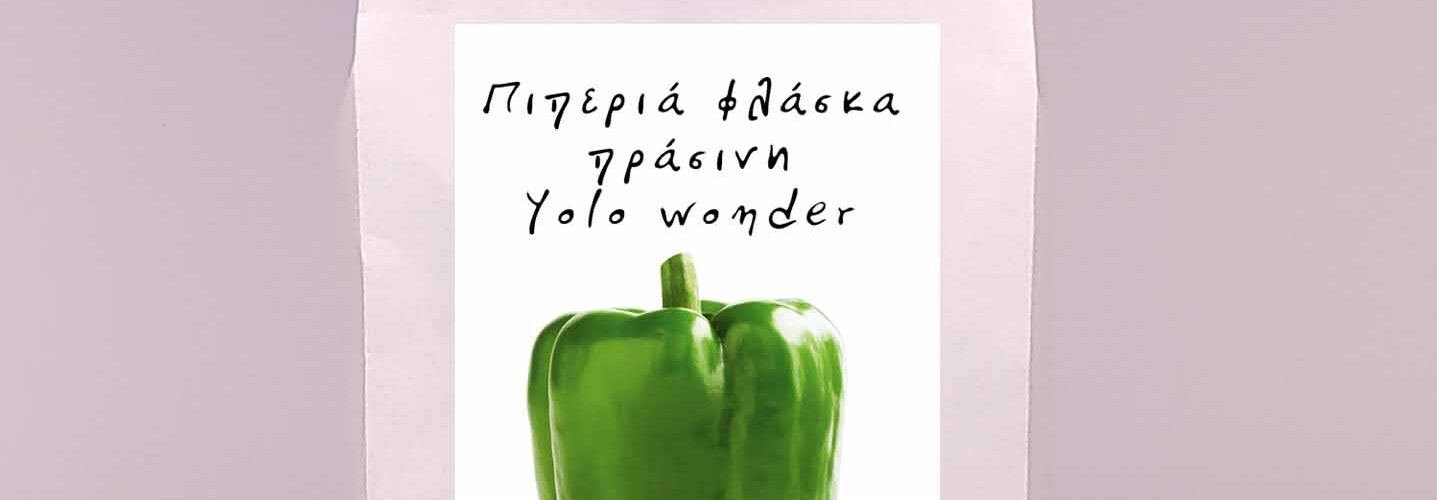 Πιπεριά πράσινη φλάσκα Yolo wonder (φάκελος 2,5 γρ)