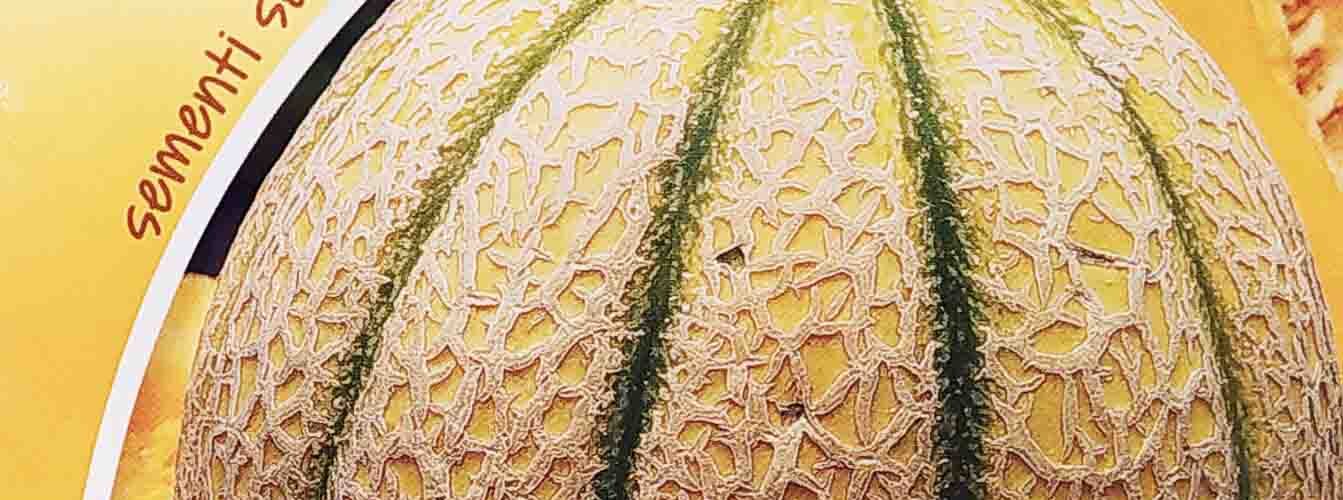 Πεπόνι του κηπουρού Ortolani (hobby bag 4 γρ)