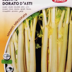 Σέλερι αρωματικό Asti (hobby bag 4 γρ)