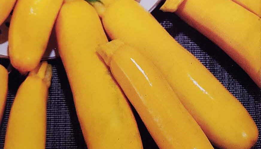 Κολοκυθάκι κίτρινο παραδοσιακό Goldena (hobby bag 2 γρ)