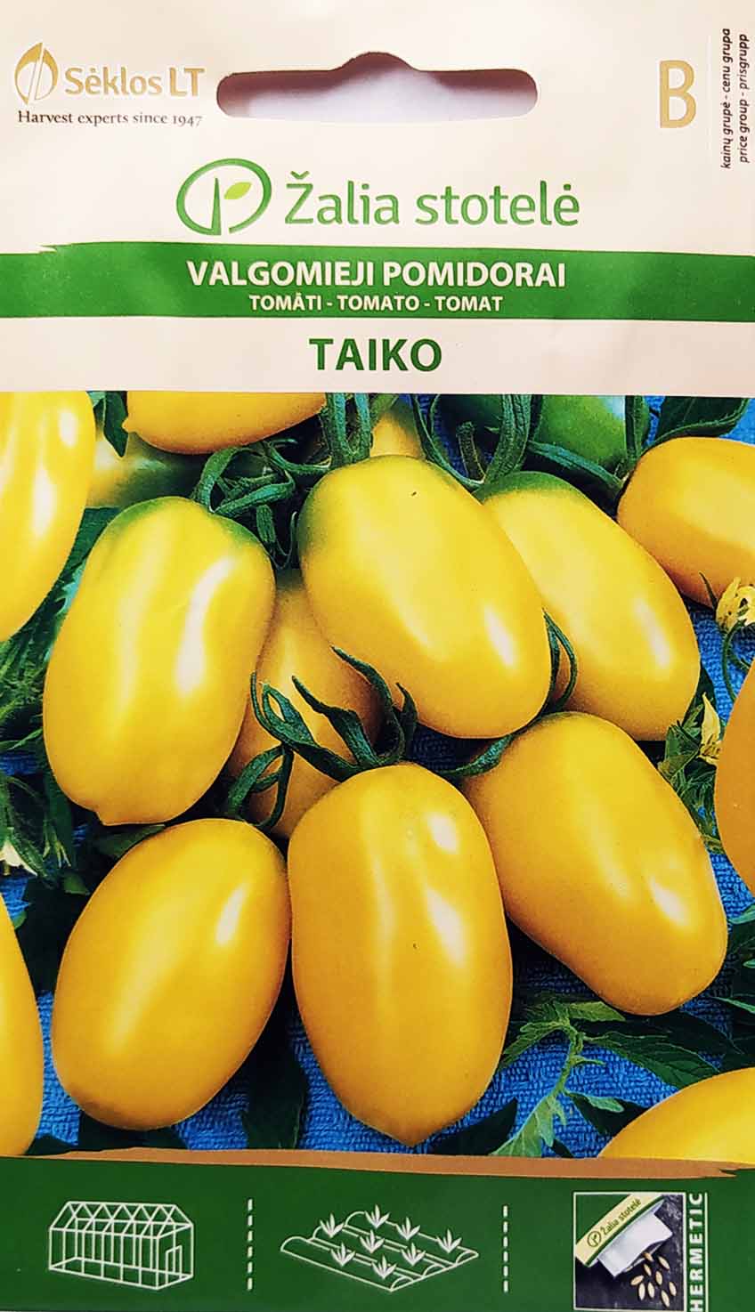 Τομάτα κίτρινη βελανίδι αναρριχώμενη Taiko Τομάτα κίτρινη βελανίδι αναρριχώμενη Taiko