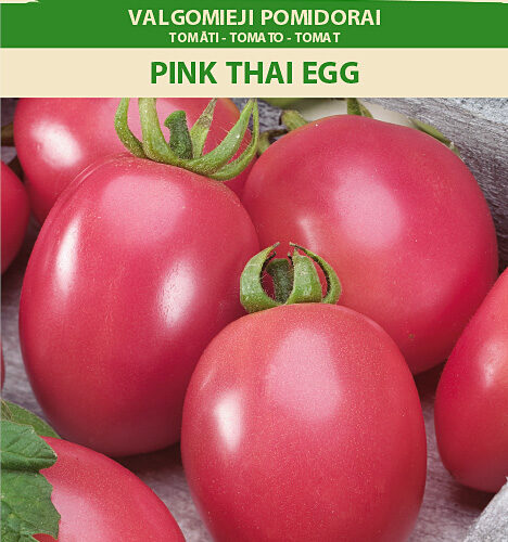 Τομάτα ροζ παραδοσιακή Pink Thai egg