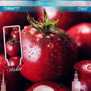 Τοματίνι μαύρο παραδοσιακό Black cherry (hobby bag 0,1 γρ)