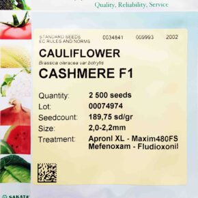 Κουνουπίδι υβρίδιο Cashmere F1