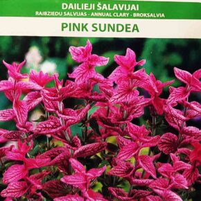 Φωτιά ροζ Pink sundea