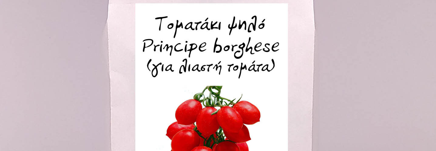Τομάτα Principe Borghese αναρριχώμενη (για λιαστή)