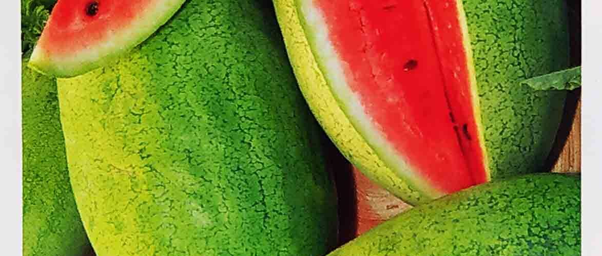 Καρπούζι βαρέλα Charleston gray (hobby bag 1 γρ)