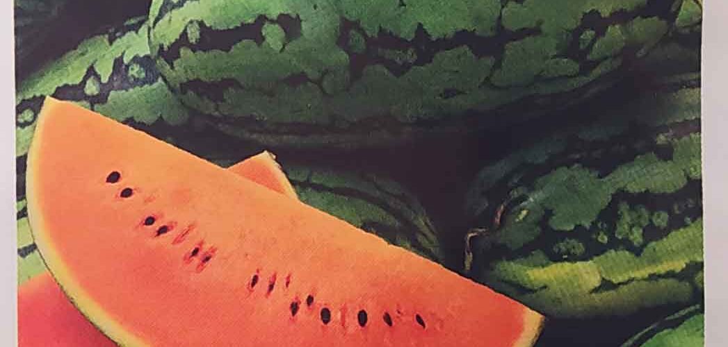 Καρπούζι πορτοκαλί Orangelo (hobby bag 1 γρ)