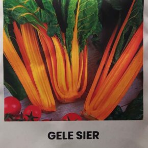 Σέσκουλο κίτρινο Gele sier (hobby bag 1,5 γρ)