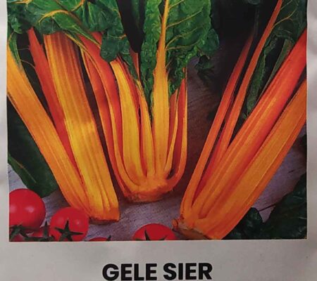 Σέσκουλο κίτρινο Gele sier (hobby bag 1,5 γρ)