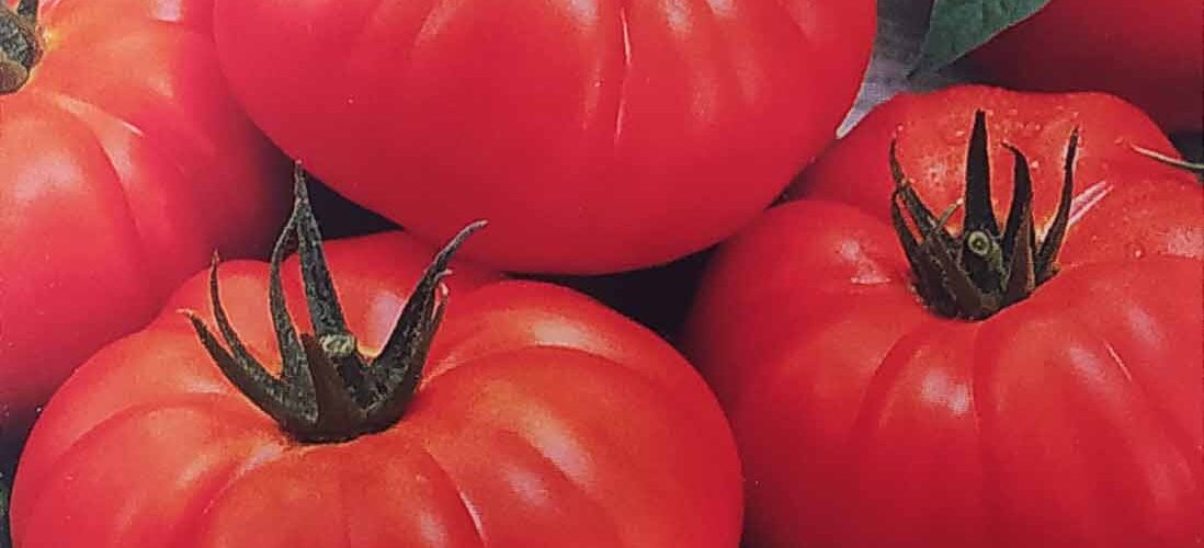 Τομάτα παραδοσιακή Marmande (hobby bag 0,2 γρ)