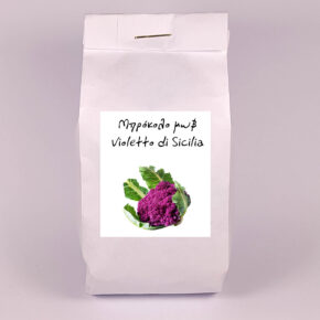 Μπρόκολο μωβ Violetto di Sicilia