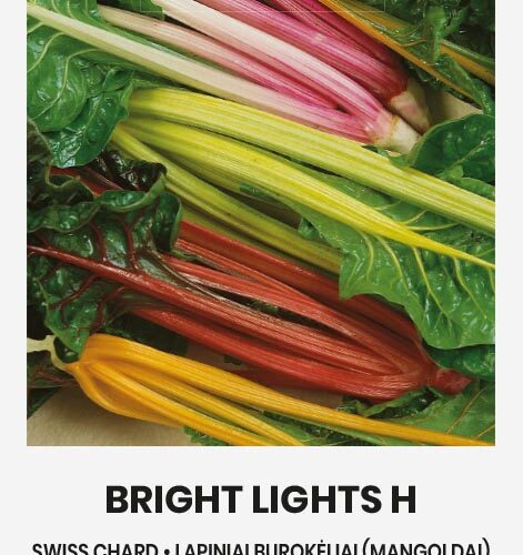Σέσκουλο πολύχρωμο Bright lights mix (hobby bag 2 γρ)