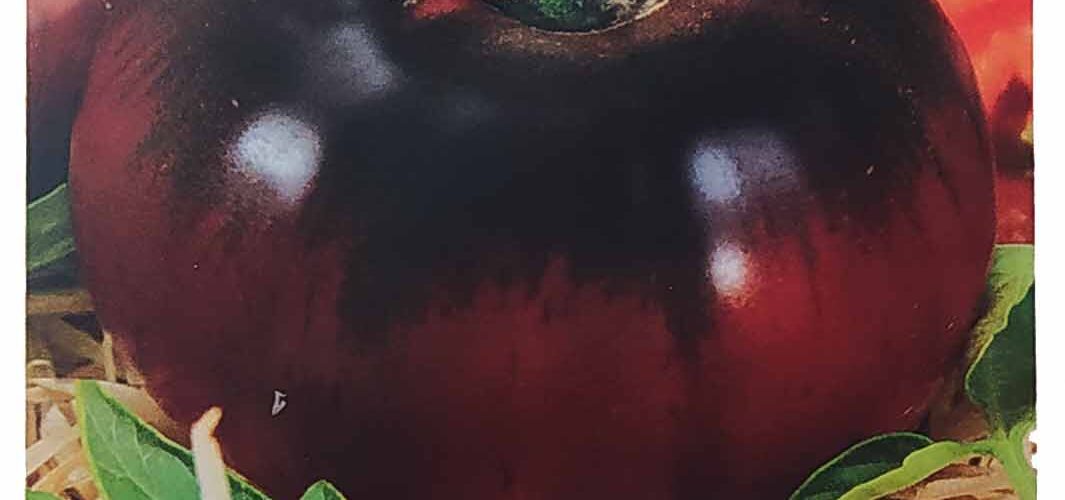 Τομάτα παραδοσιακή μαύρη Black prince (hobby bag 0,2 γρ)