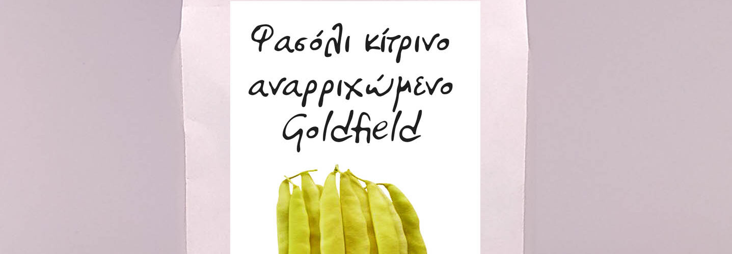 Φασόλι αναρριχώμενο κίτρινο πλατύ Goldfield