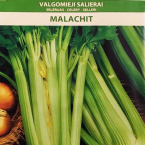 Σέλερι Malachit (hobby bag 0,2 γρ)