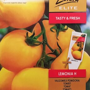 Τομάτα κίτρινη Lemonia υβρίδιο (hobby bag 15 σπόρων)