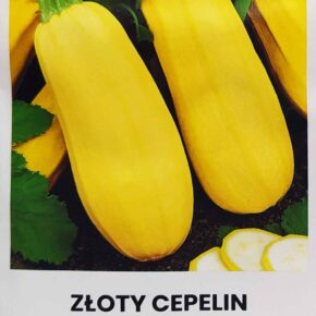 Κολοκύθι κίτρινο παραδοσιακό Zloty cepelin (hobby bag 2 γρ)