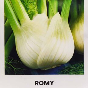 Φινόκιο Romy (hobby bag 1 γρ)