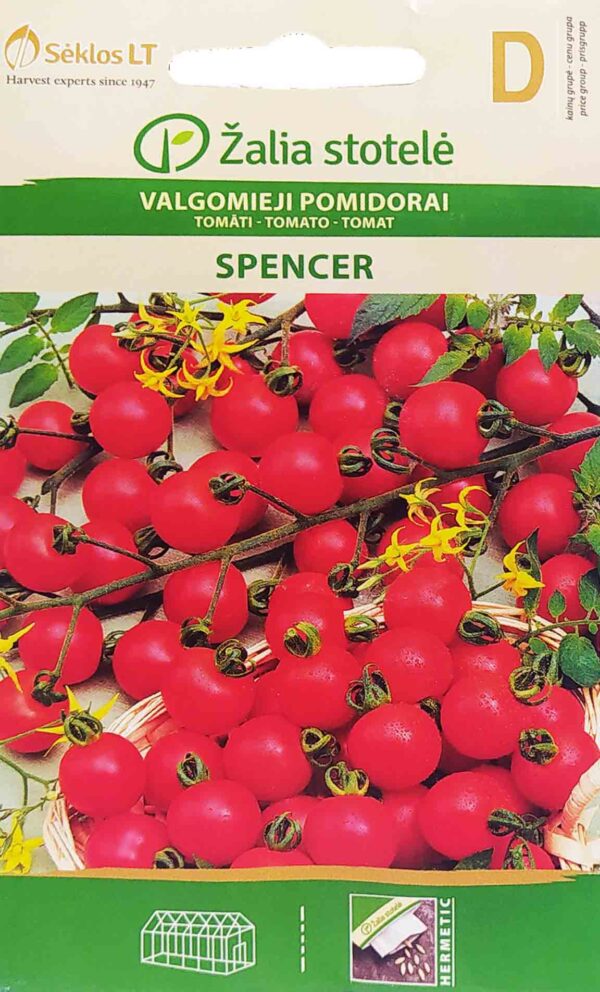 Τομάτα cherry Spencer