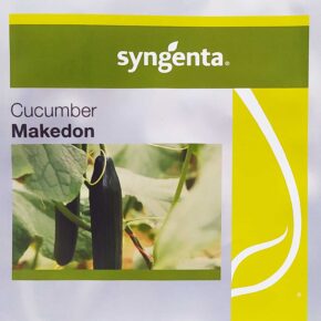 Αγγούρι υβρίδιο μακρύ Makedon F1